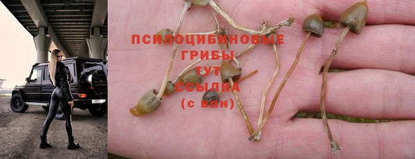 прущие крисы Баксан