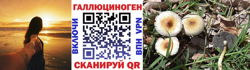 Галлюциногенные грибы мухоморы Невель