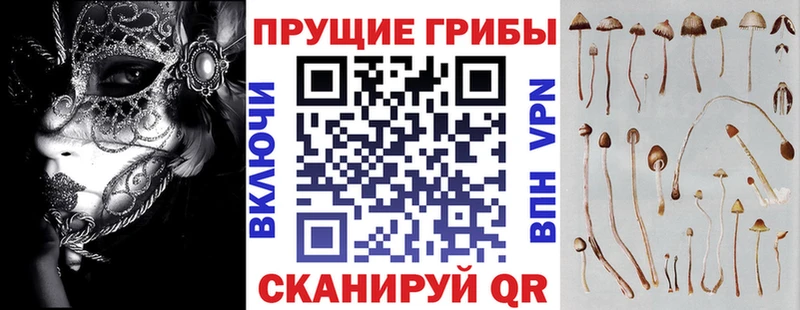 Псилоцибиновые грибы GOLDEN TEACHER  Невель 